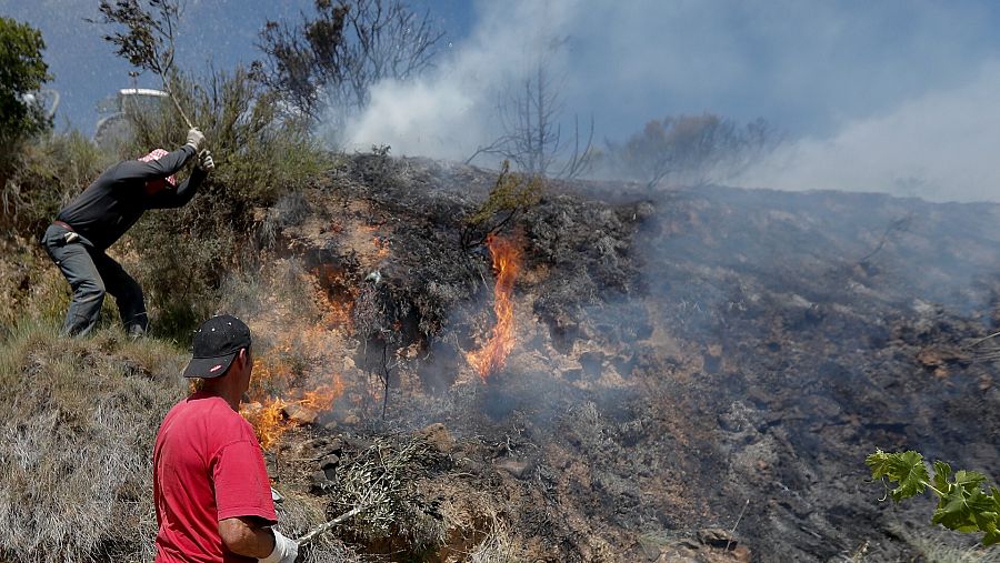 Vecinos de Olite y San Martín de Unx trabajan para extinguir el fuego en unos viñedos.