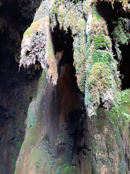 Monasterio de Piedra