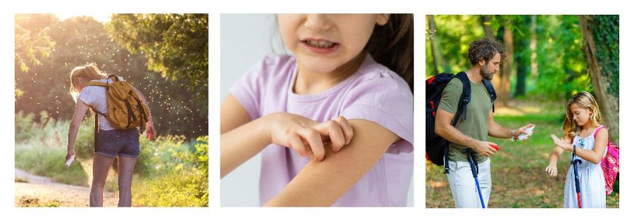 Los mosquitos y las picaduras con Enfermera Saturada