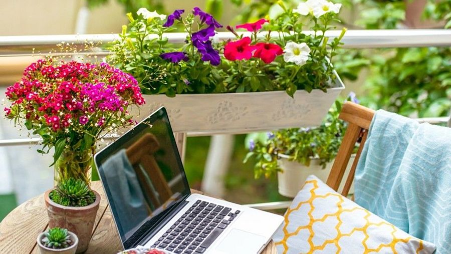 Las plantas son el mejor elemento decorativo de una terraza: dan un toque fresco, verde y crean ambientes relajantes