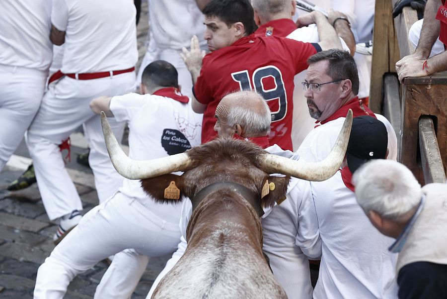 Varios mozos ante uno de los mansos de la ganadería navarra de Macua, que este año han guiado a la manada.