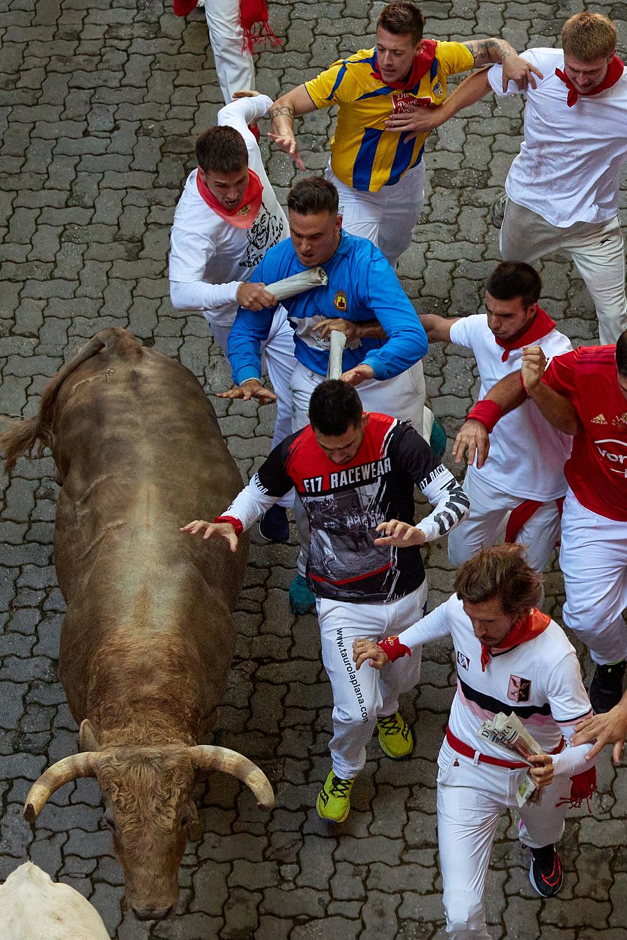 Largas carreras de los mozos junto a los toros en el primer encierro.