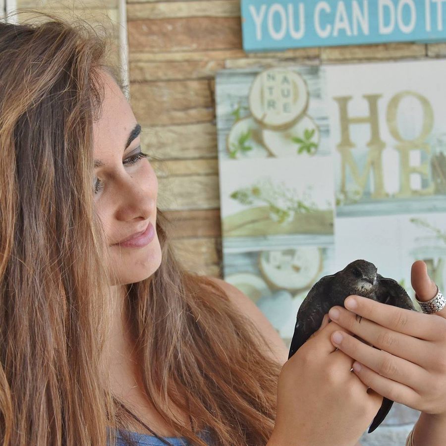 La rescatadora de aves Andrea Guirado sostiene un vencejo