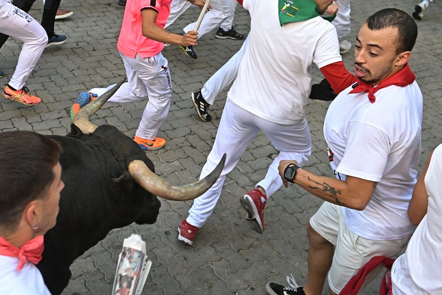 Los toros de la ganadería pacense de Jandilla a su paso por el tramo de Telefónica.