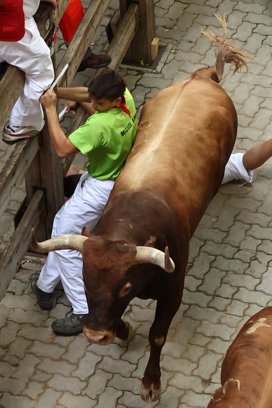 Un mozo atrapado entre un toro y el vallado en el octavo encierro de San Fermín.