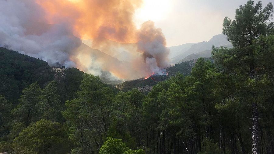 Incendio del valle de Las Batuecas dentro de la provincia de Salamanca