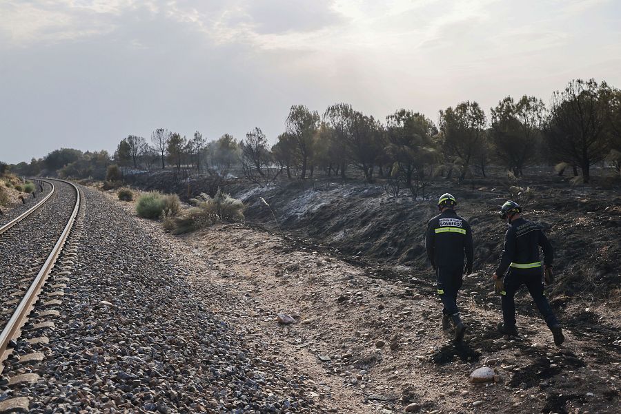El incendio en Castronuño (Valladolid) ha obligado a cortar la vía férrea por precaución