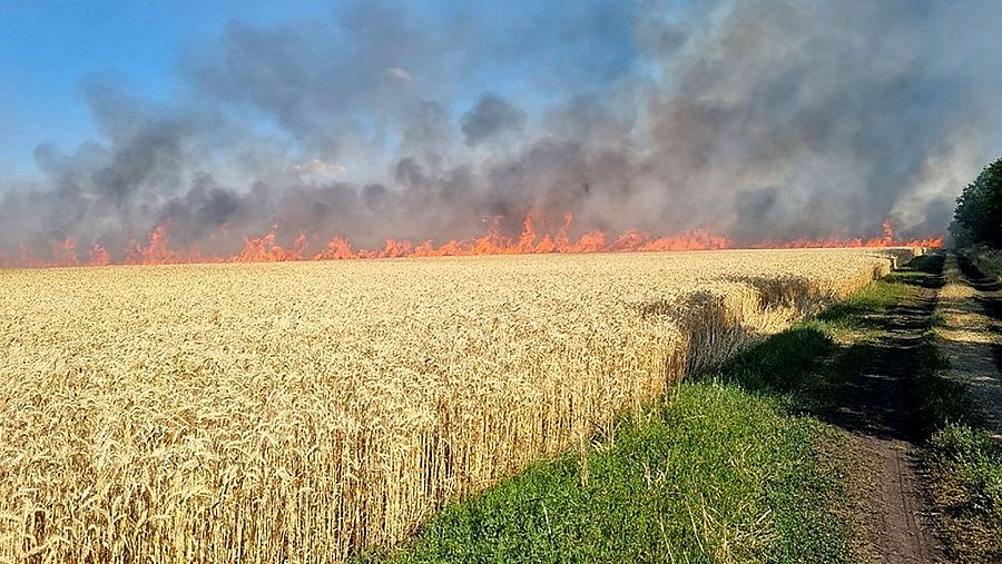 Los bomberos apagan un incendio en un campo de trigo quemado como resultado de los bombardeos en Mikolaiv