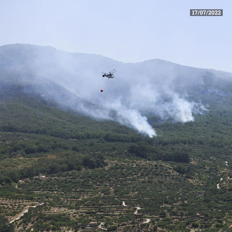 Valle del Jerte (Cáceres)