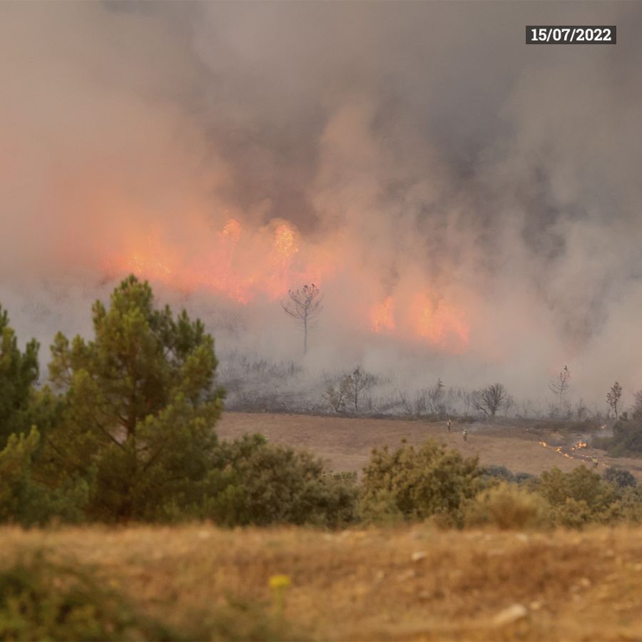 Monsagro (Salamanca)