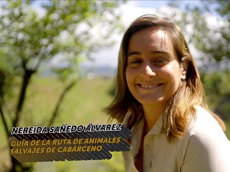 Nereida Sañedo Álvarez