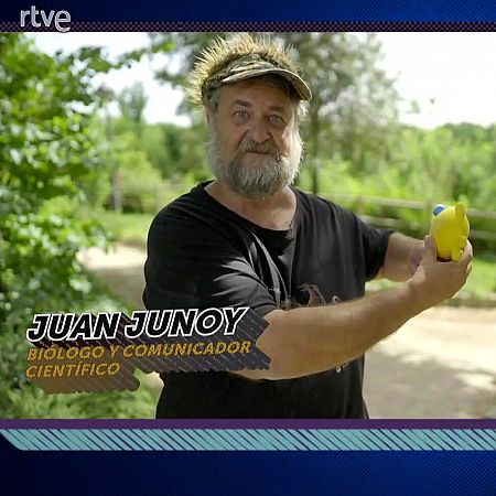 Juan Junoy