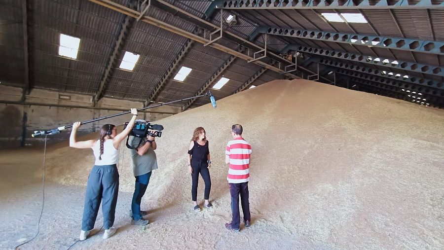 La cosecha de cereales cae un 30% en España