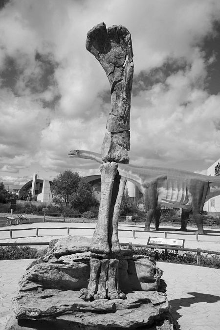 Foto de la exposición 