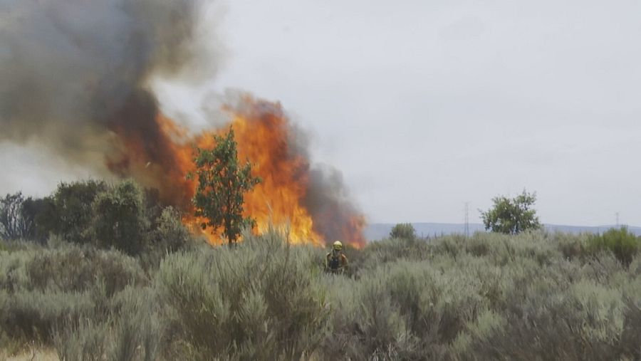 Incendio en el campo