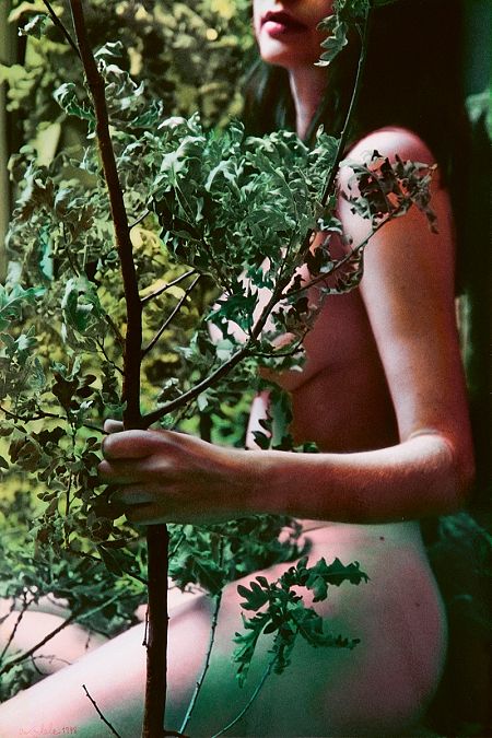 'Quizás fuera un hada' (1998)