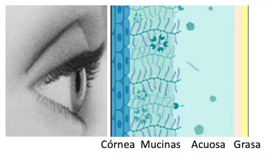 ¿Qué dice una lágrima sobre nuestra salud?