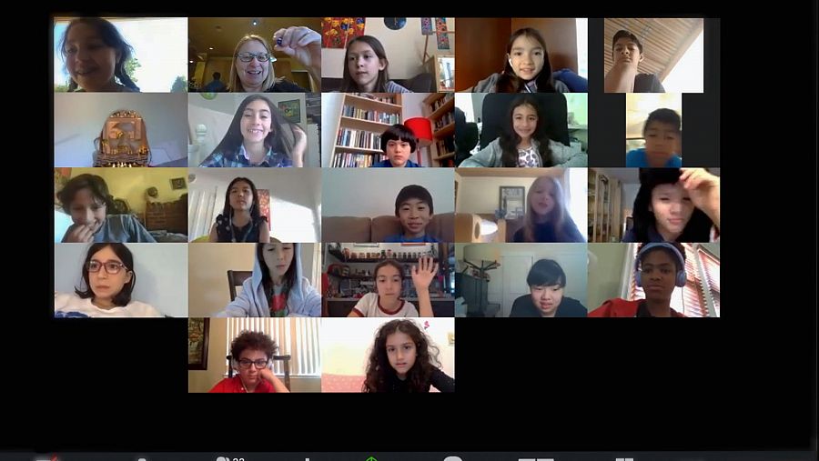 Videoconferencia por 'zoom'