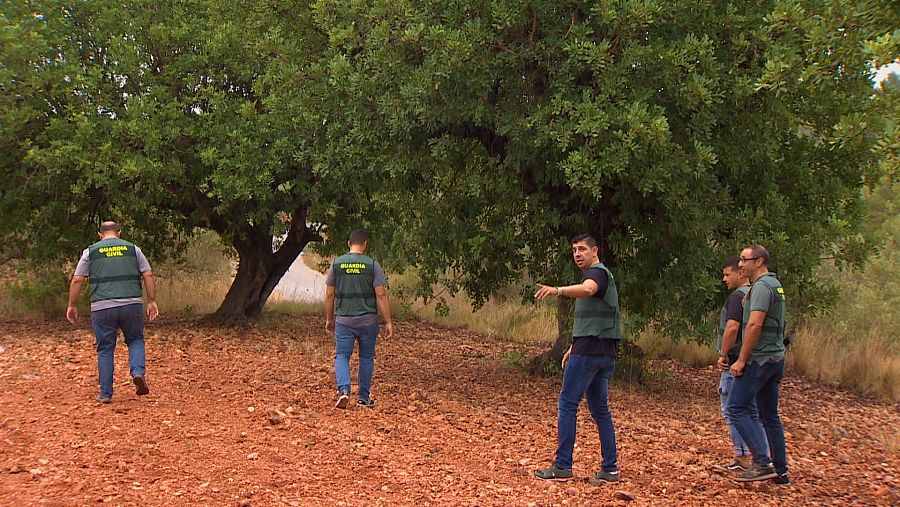 Algarroba Guardia Civil inspecciona