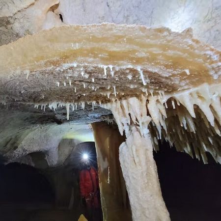 Estegamita en la Cueva de las estegamitas de Málaga. 