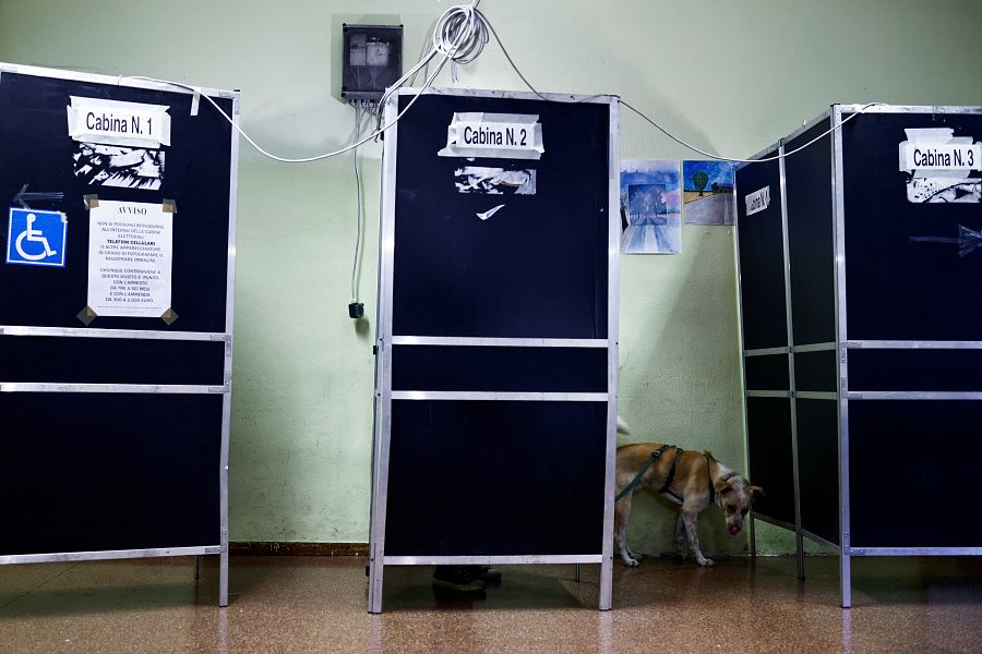 Un perro espera a su dueño mientras rellena el papel de votación en Roma