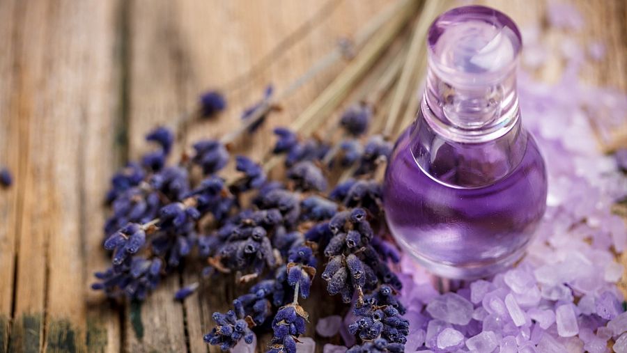 La lavanda es una de las plantas aromáticas más versátiles que existen y su agradable aroma y sus múltiples propiedades