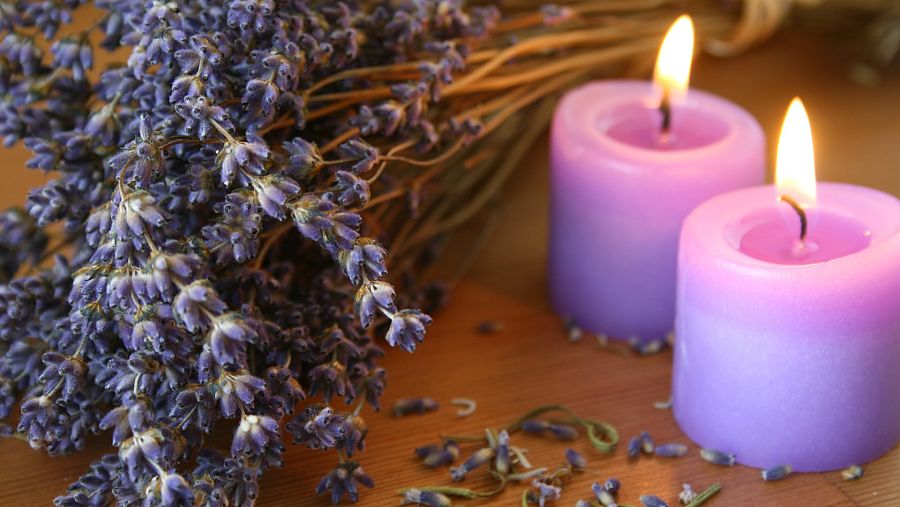 Su agradable aroma invita a la relajación y al descanso