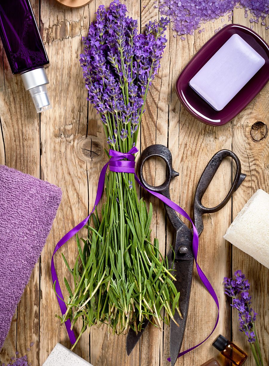 Las espigas de lavanda pueden servir para decorar cualquier rincón de la casa