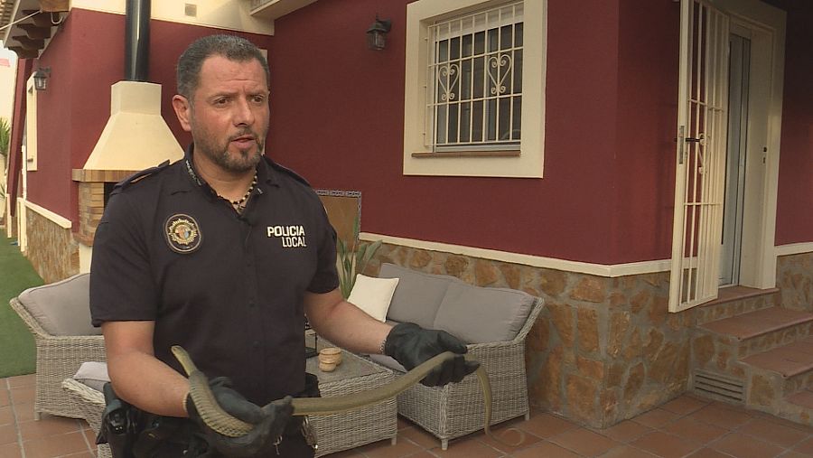 Efrén Pamies es policía y rescata serpientes cuando se cuelan en alguna casa