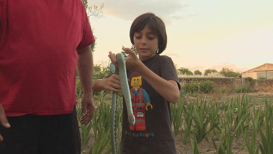 José María y su hijo nos muestran la culebra que se coló en su huerto