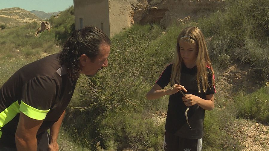 Antonio Valero y su hijo Javier rescatando culebras en Alicante