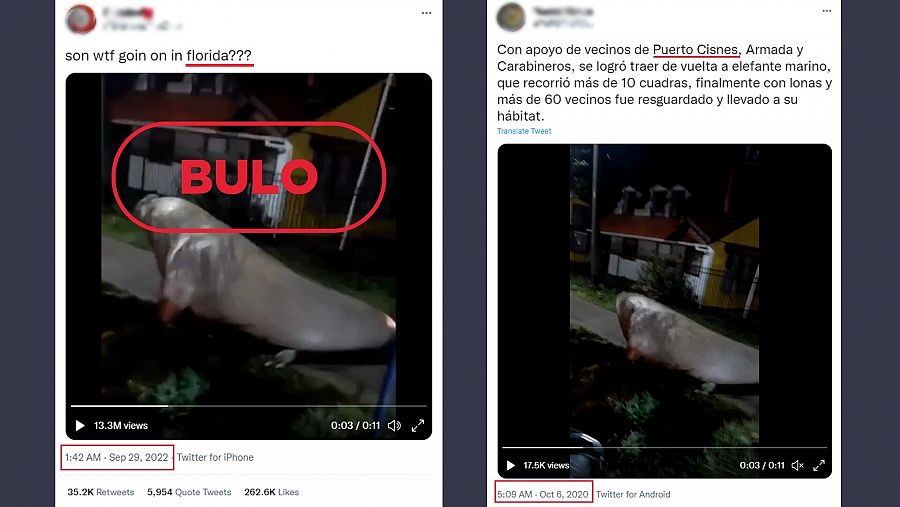 A la izquierda, captura del vídeo del león marino deambulando por las calles que se está difundiendo como actual y a la derecha, la imagen del vídeo original de Chile en 2020. Con el sello bulo en la imagen izquierda.