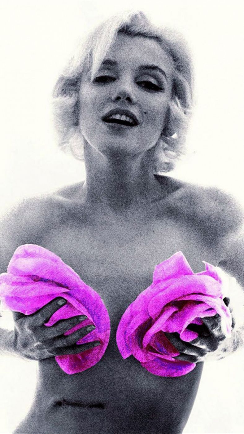 Fotomontaje de las imágenes de Bert Stern de Marilyn Monroe