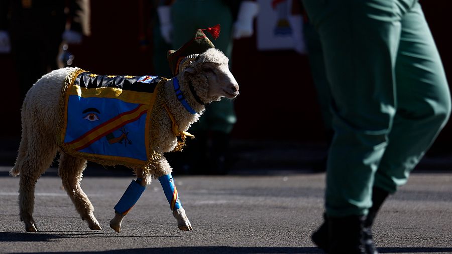 Un carnero, la mascota de la Legión este año en vez de una cabra.