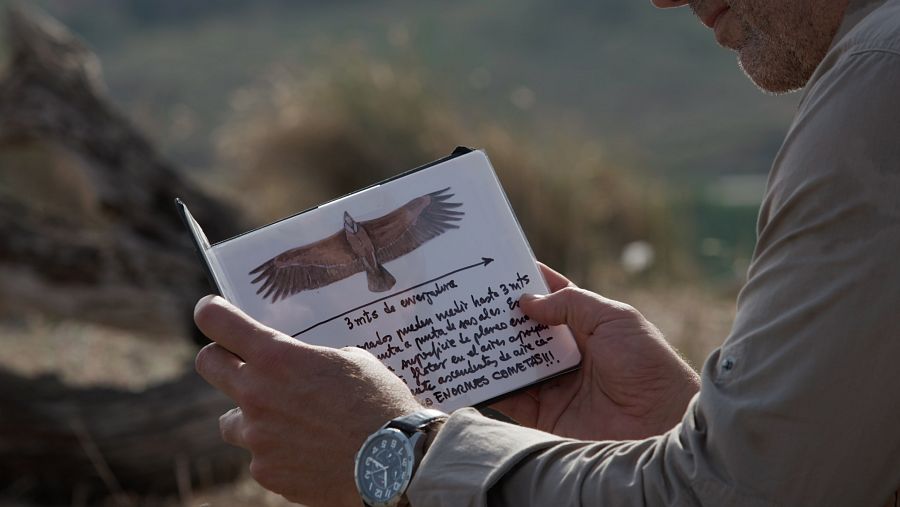 Juan Antonio Rodríguez Llanos