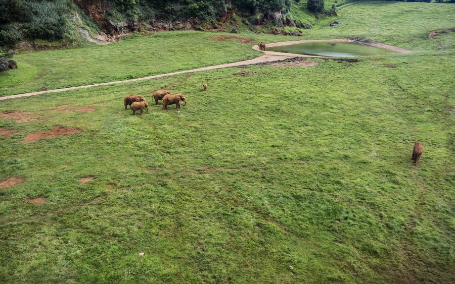 Imagen del Parque de la Naturaleza de Cabárceno