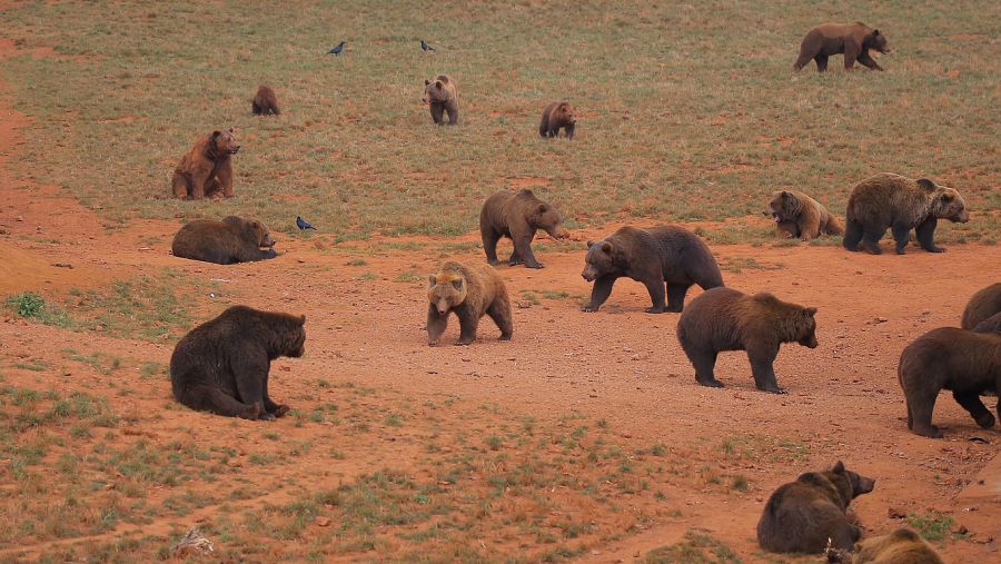 Imagen del Parque de la Naturaleza de Cabárceno