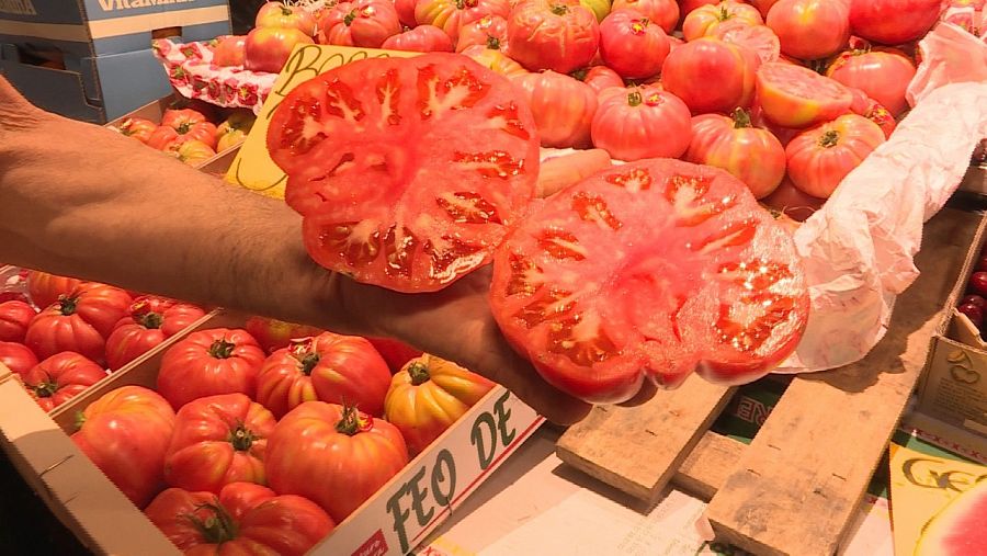 Cada vez hay más variedad de tomates, pero pocos tomates tienen sabor a tomate