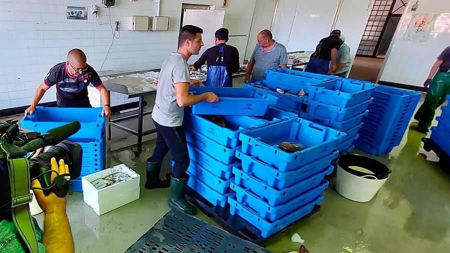 La eterna reserva Conill