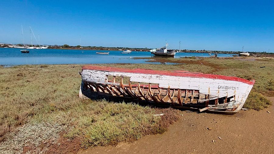 La eterna reserva Conill