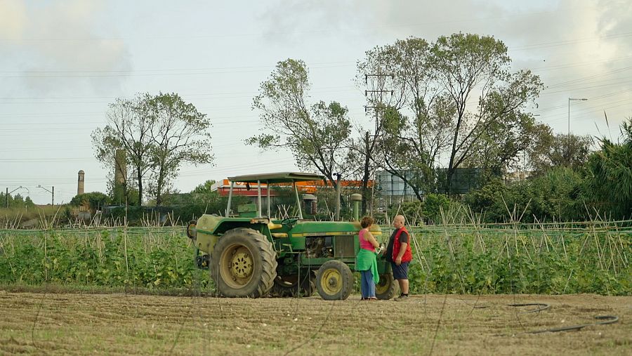 Gairebé no queden rastres del passat agrícola de Santa Coloma de Gramenet