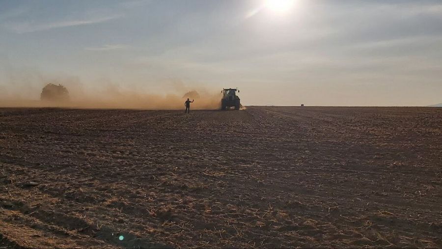 Tractor en las tierras de cultivo de cereales al atardecer