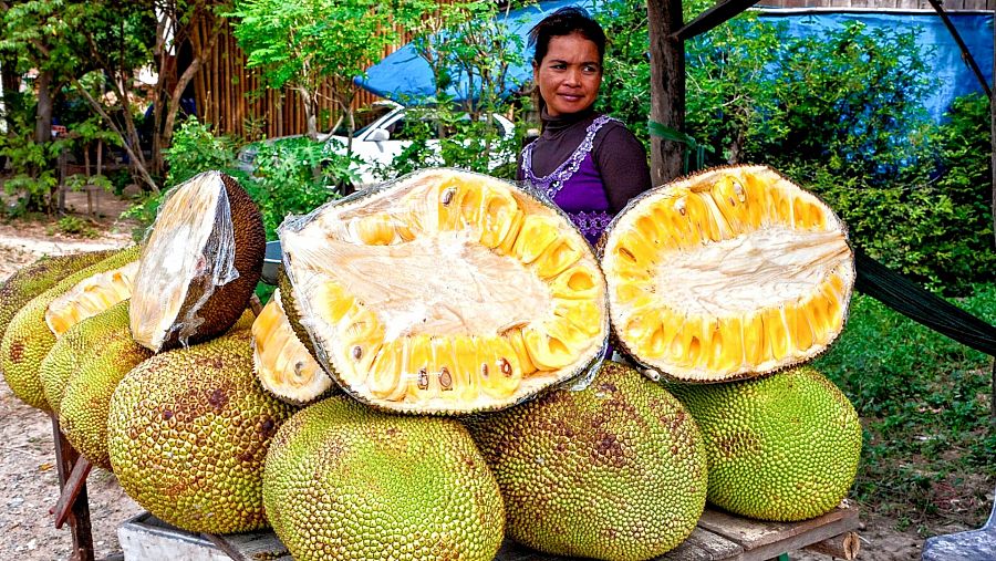 El jackfruit  puede superar los 40cm de diámetro y los 30 kilos de peso