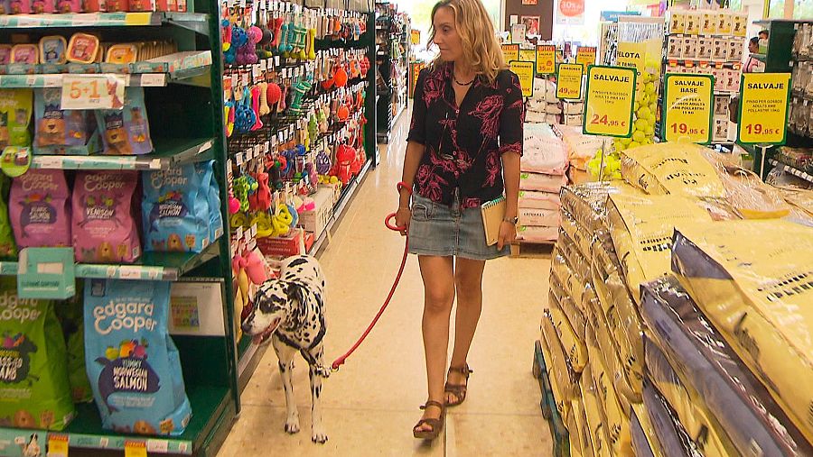 Los hogares españoles ya cuentan con más animales de compañía que niños