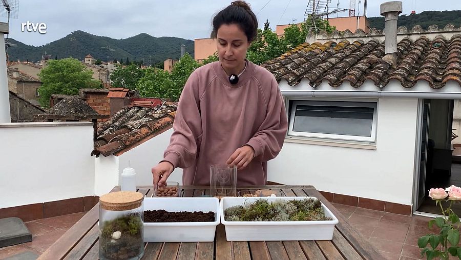 Tania Giraldez de Arte en Casa ens ensenya a fer un jardí en un pot de vidre