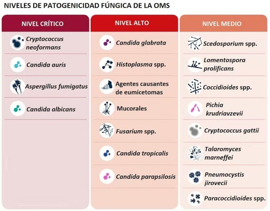 Niveles de patogenicidad fúngica