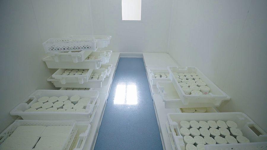 Un dels canvis que ha incorporat Cal Pujolet és la refrigeració del mató