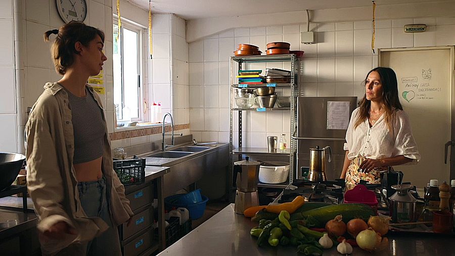 Cómo fabricar biogas