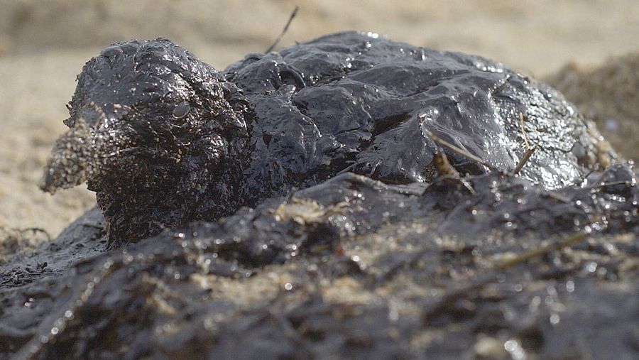 Las imágenes de las aves cubiertas por el chapapote dieron la vuelta al mundo.