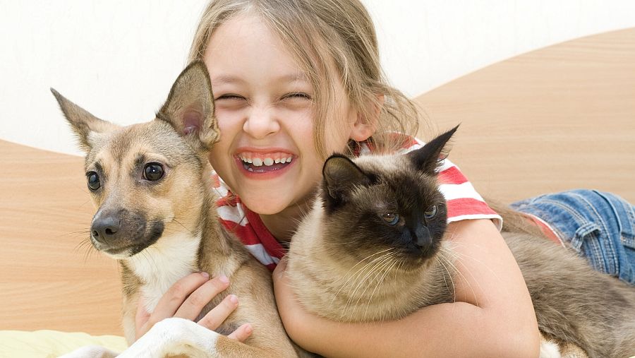 Niña con su mascota, un perro y un gato.